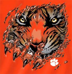 Clemson Tigers Football T-Shirts - Ripped - Tiger Claws