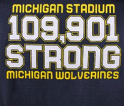 Michigan Wolverines Football T-Shirts - Michigan Stadium Strong - Go Blue